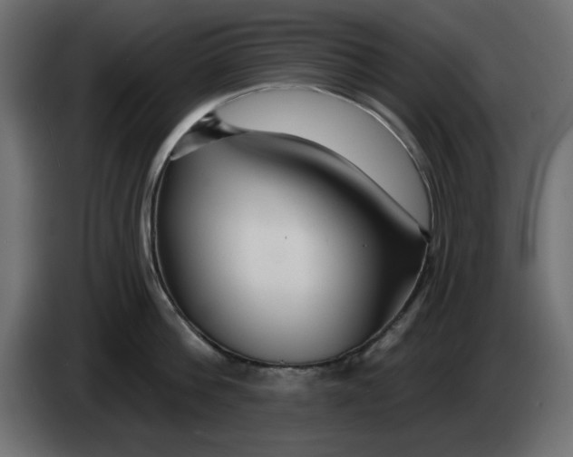 X0000083020812200703022002