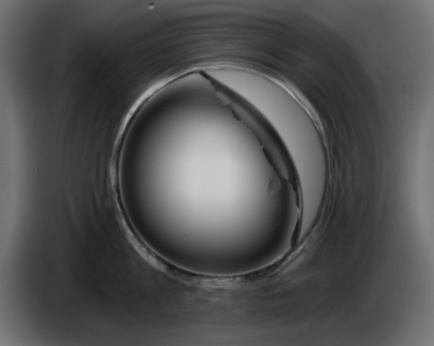 X0000083020813200703022002