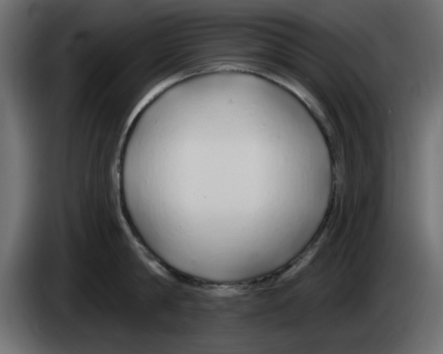 X0000083020814200703022002