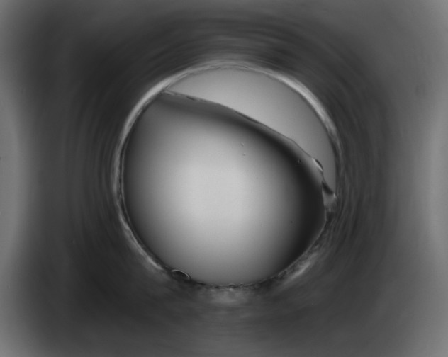 X0000083020815200703022002