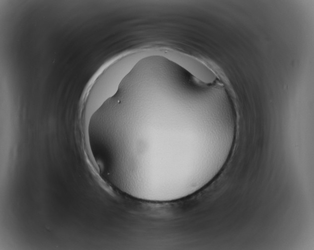 X0000083020816200703022002