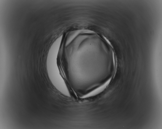 X0000083020818200703022001