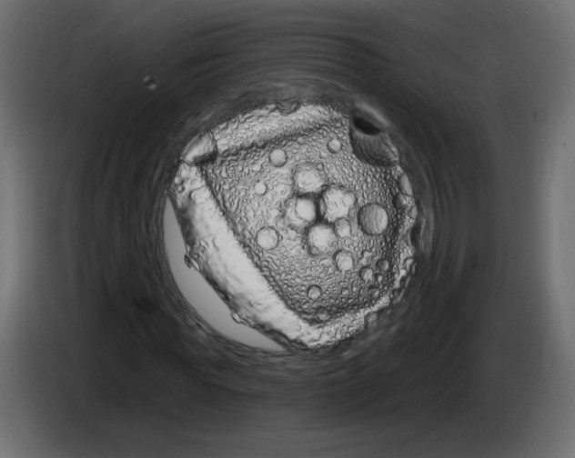 X0000083020819200703022001