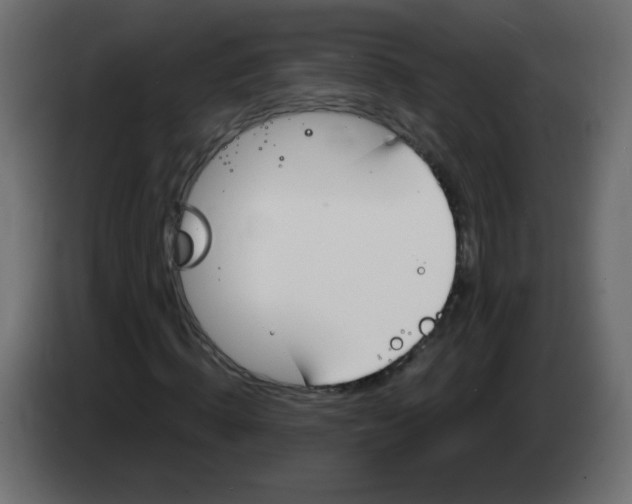 X0000083020820200703022001