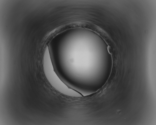 X0000083020822200703022001