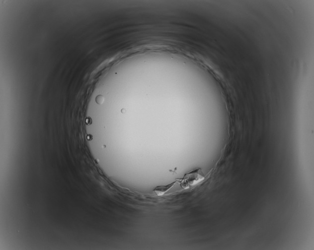 X0000083020824200703022001