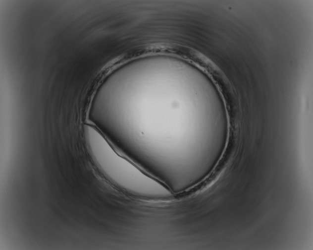 X0000083020825200703022001