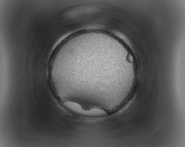 X0000083020829200703022001