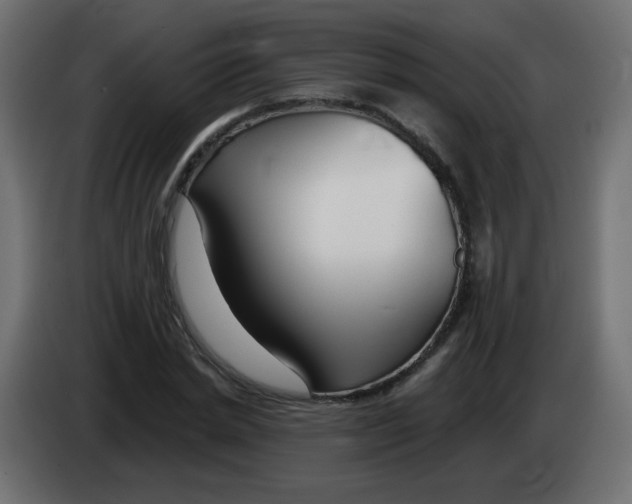 X0000083020830200703022001