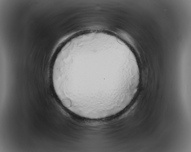 X0000083020831200703022001