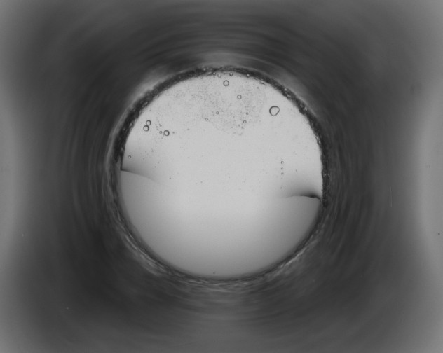 X0000083020832200703022001