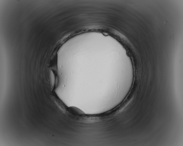 X0000083020833200703022001