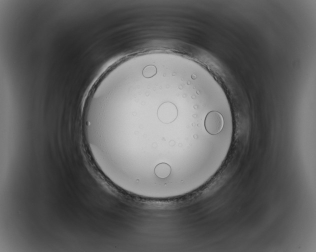 X0000083020836200703022001