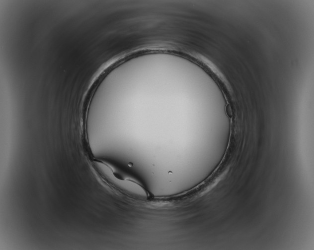 X0000083020837200703022001