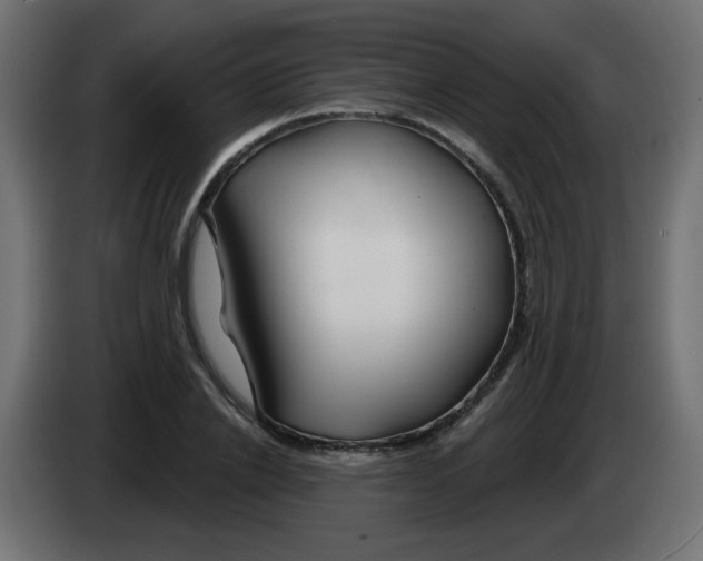 X0000083020838200703022001