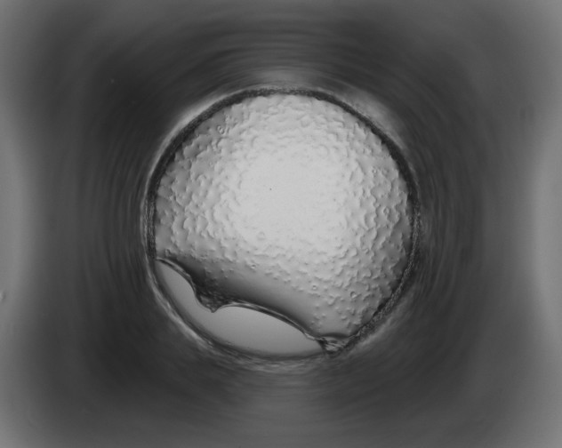 X0000083020839200703022001