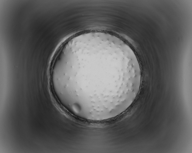 X0000083020840200703022001