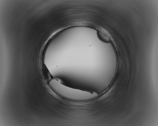 X0000083020843200703022001