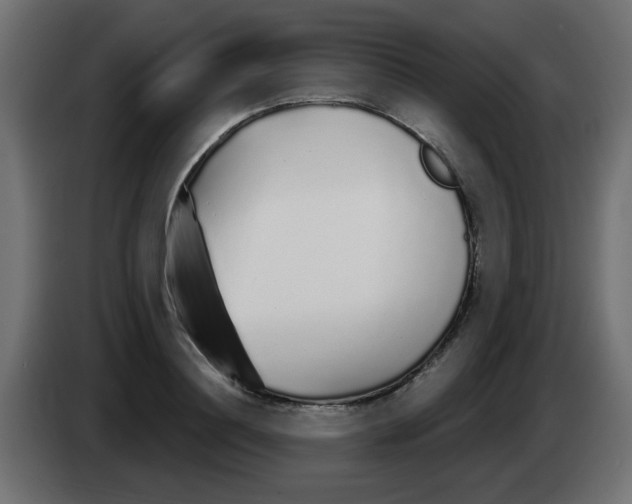 X0000083020844200703022001