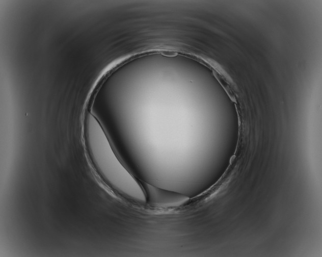 X0000083020846200703022001