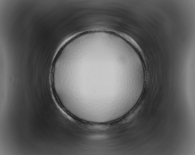 X0000083020847200703022001