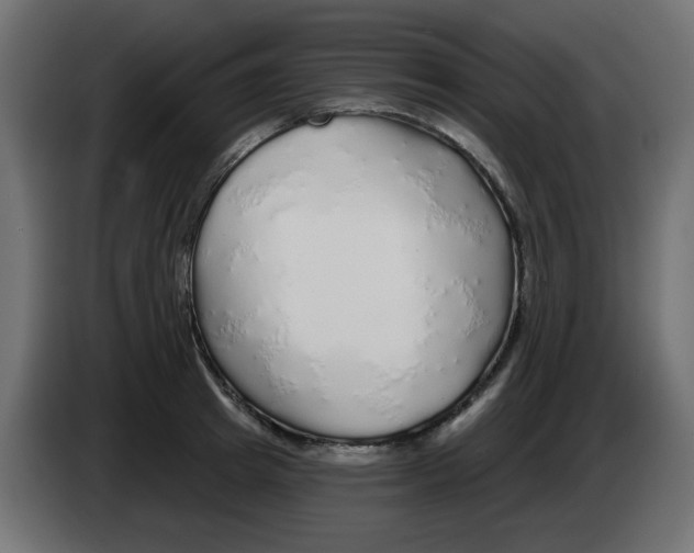 X0000083020849200703022001