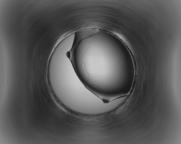 X0000083020850200703022002