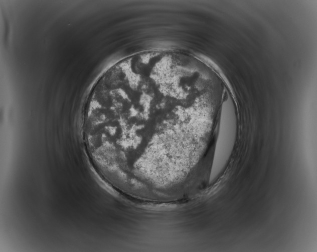 X0000083020851200703022002