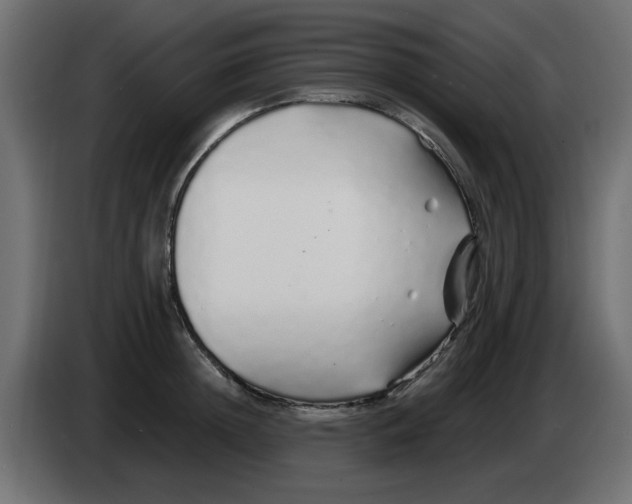 X0000083020852200703022002