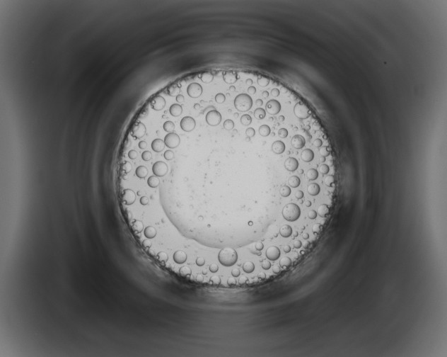 X0000083020856200703022002