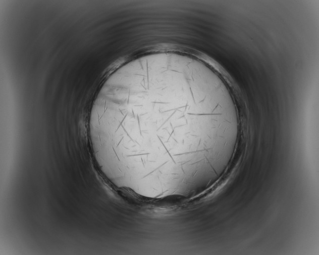 X0000083020857200703022002