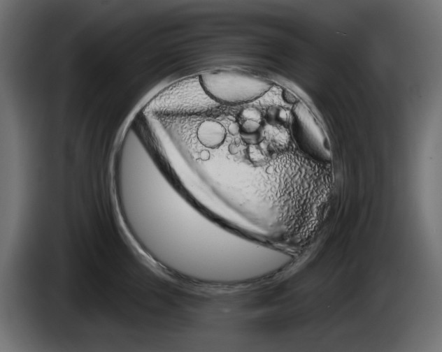 X0000083020859200703022002