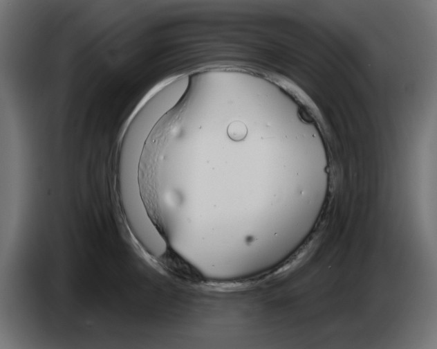 X0000083020860200703022002