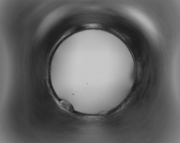 X0000083020861200703022002