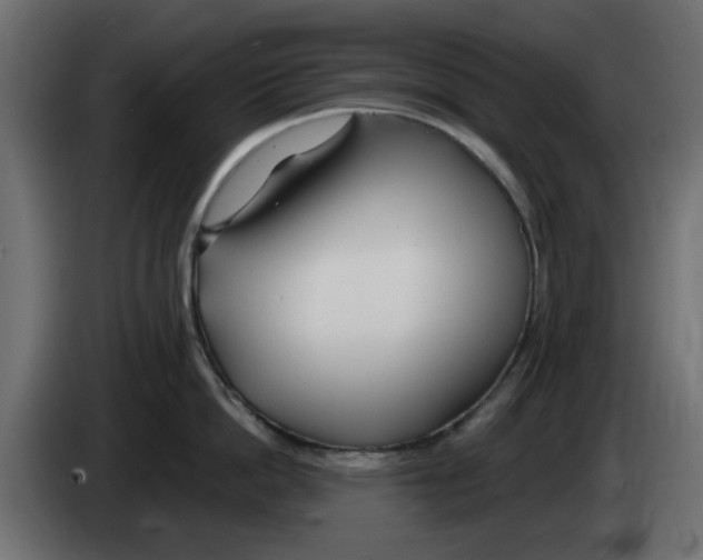 X0000083020862200703022002