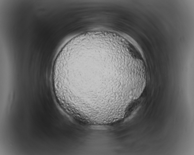 X0000083020863200703022002