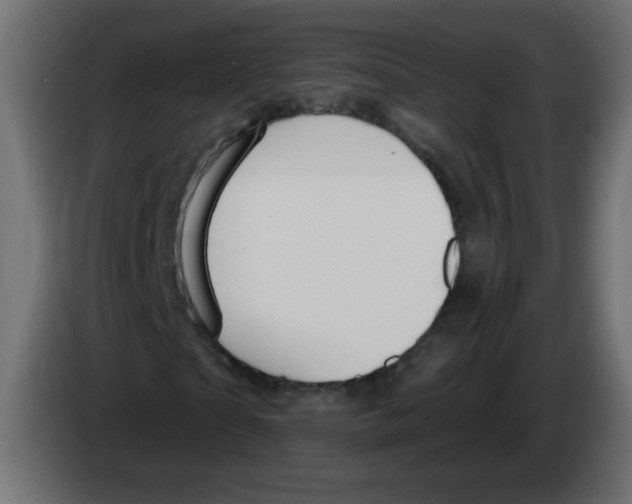 X0000083020865200703022001