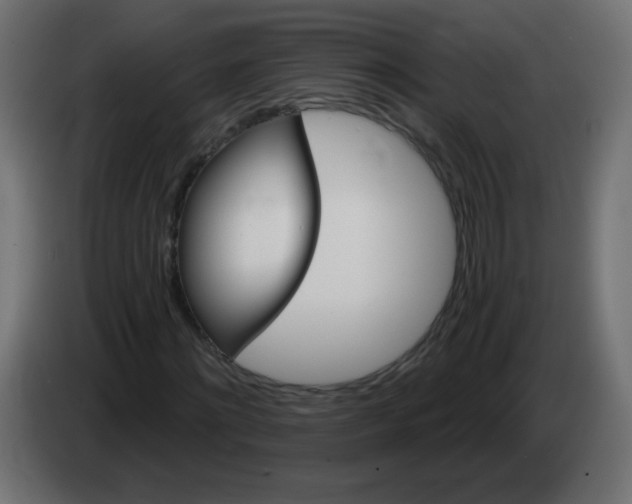 X0000083020868200703022001