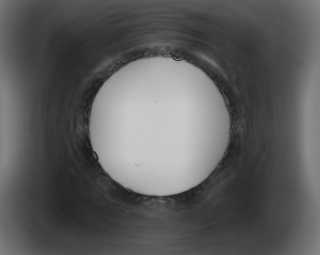 X0000083020869200703022001