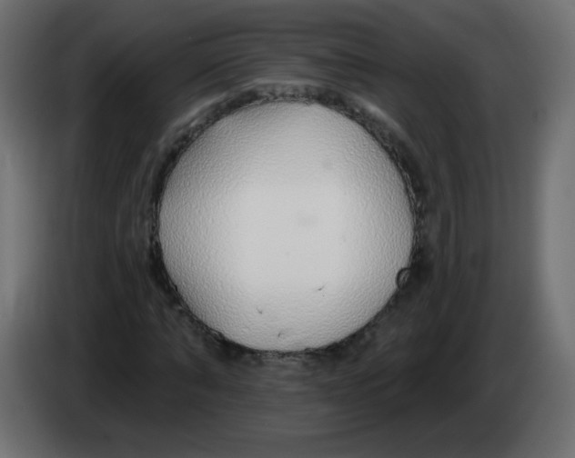 X0000083020870200703022001