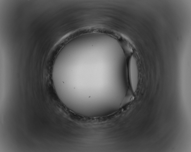 X0000083020872200703022001