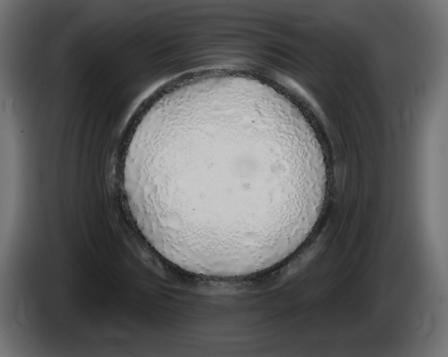 X0000083020875200703022001