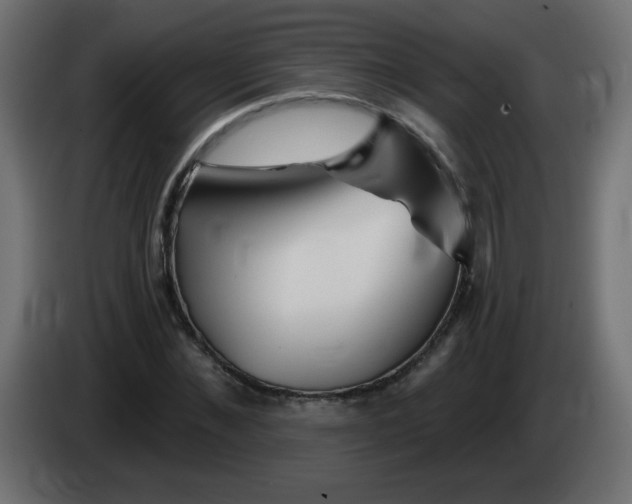 X0000083020876200703022001