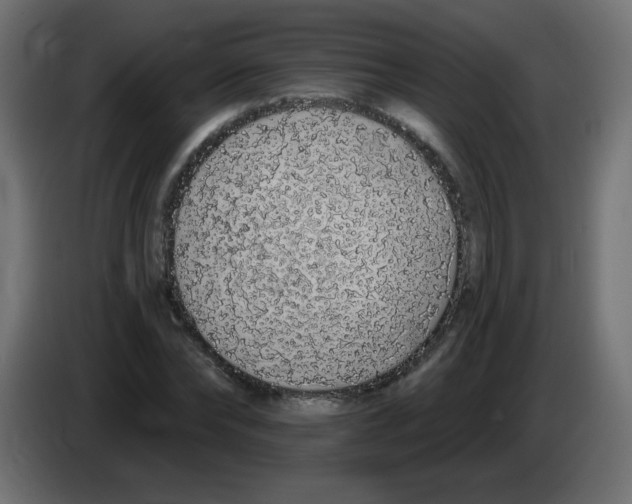 X0000083020878200703022001