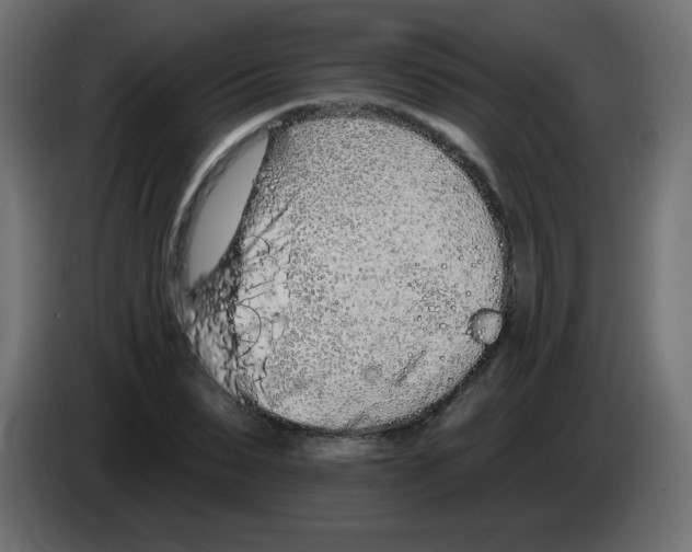 X0000083020879200703022001