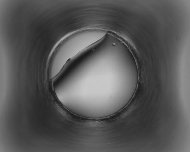 X0000083020880200703022001