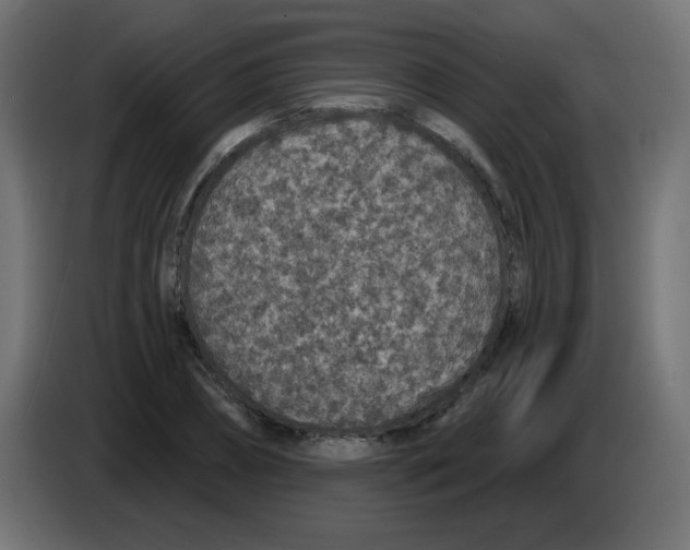 X0000083020882200703022000