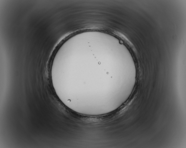 X0000083020883200703022000