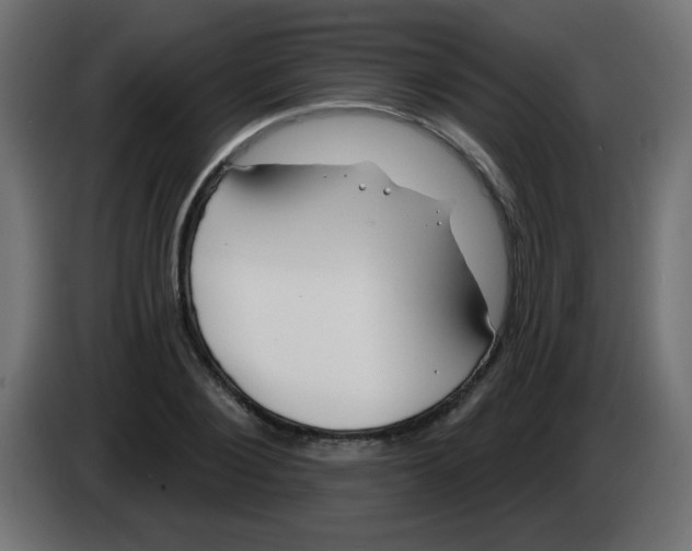 X0000083020884200703022000