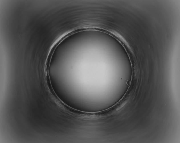 X0000083020885200703022000